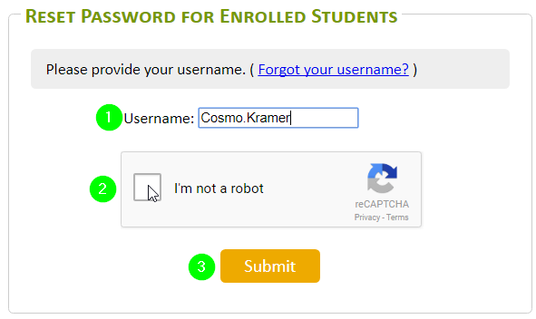 Enter your Tyndale Username, Check off I'm not a robot, Click Submit