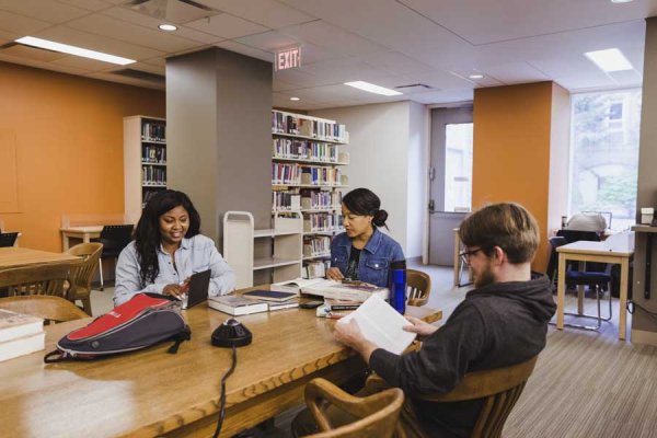 Students studying in the Library